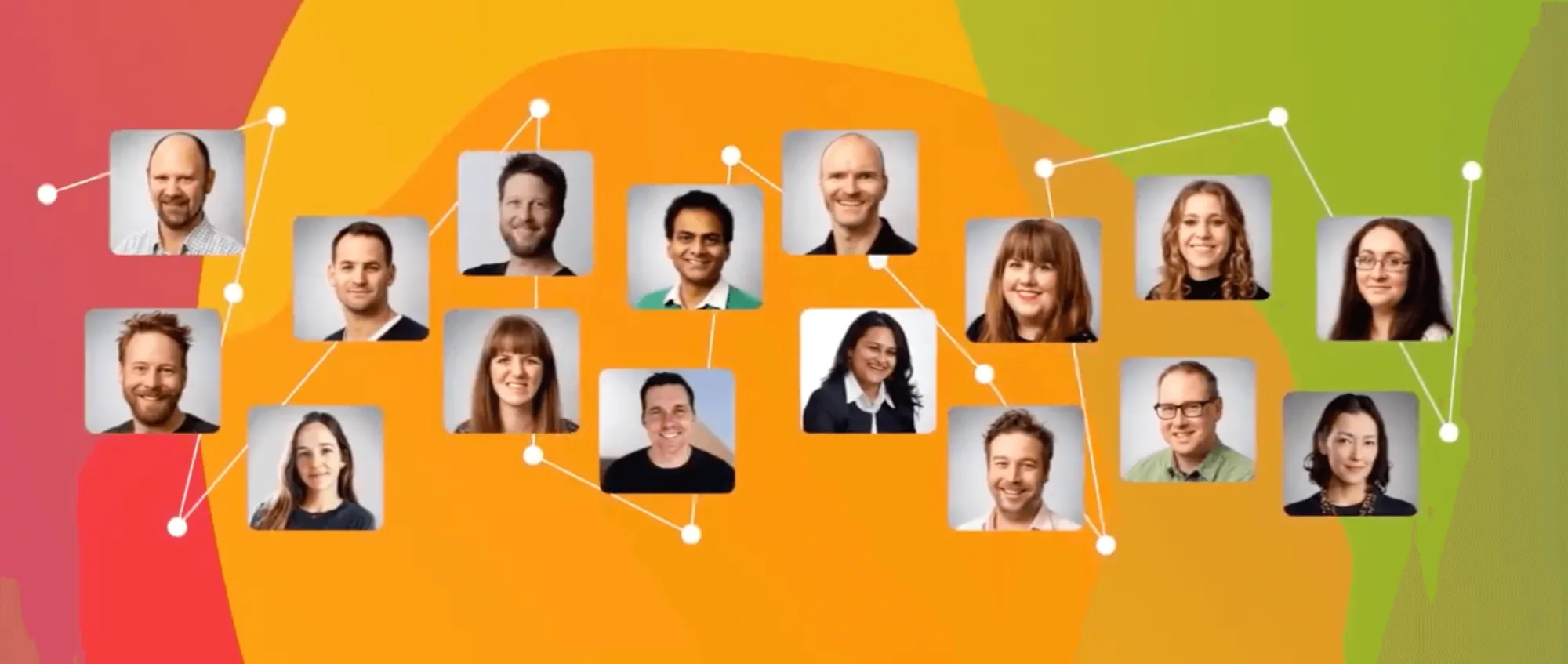 a picture of the Treehouse team
